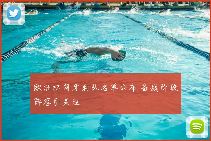 欧洲杯匈牙利队名单公布 备战阶段阵容引关注