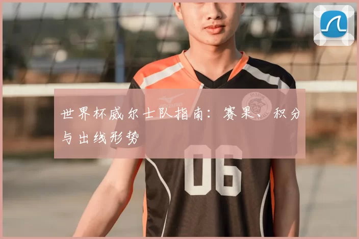 世界杯威尔士队指南:赛果、积分与出线形势