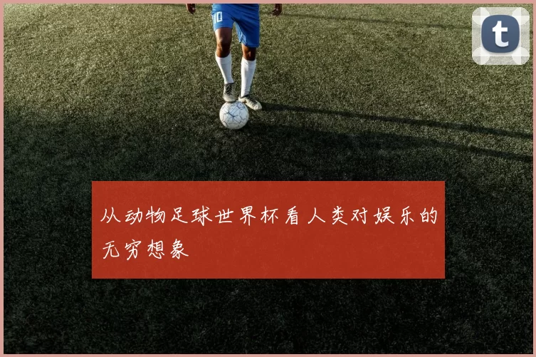 从动物足球世界杯看人类对娱乐的无穷想象