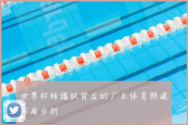 世界杯转播权背后的广东体育频道布局分析