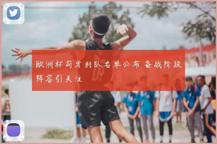 欧洲杯匈牙利队名单公布 备战阶段阵容引关注