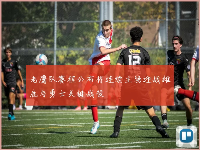 老鹰队赛程公布将连续主场迎战雄鹿与勇士关键战役