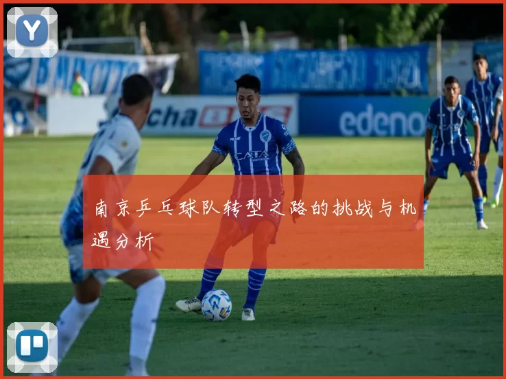 南京乒乓球队转型之路的挑战与机遇分析