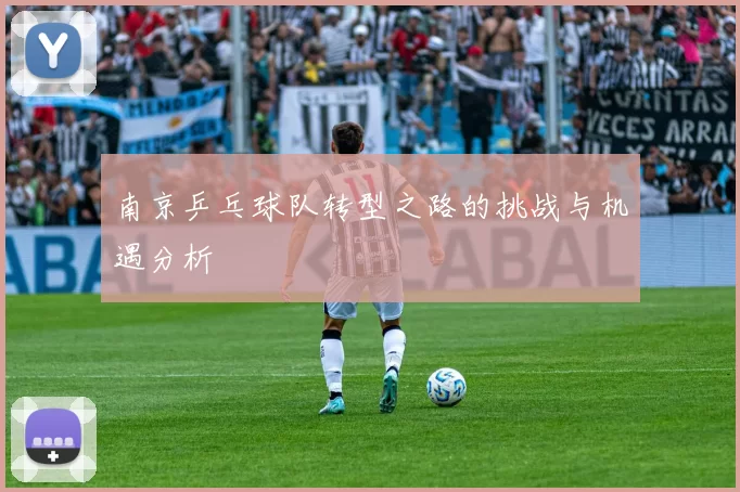 南京乒乓球队转型之路的挑战与机遇分析