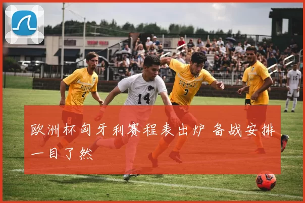 欧洲杯匈牙利赛程表出炉 备战安排一目了然