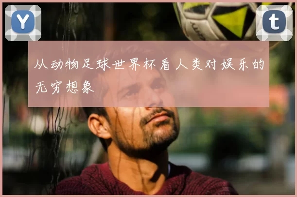 从动物足球世界杯看人类对娱乐的无穷想象