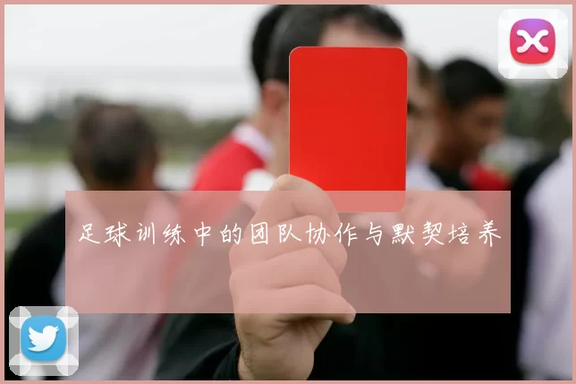 足球训练中的团队协作与默契培养