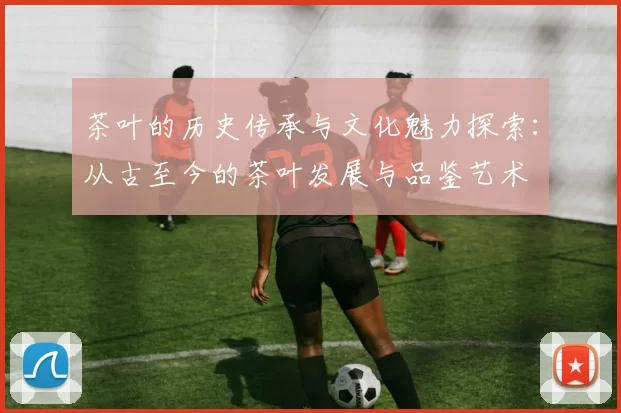 茶叶的历史传承与文化魅力探索：从古至今的茶叶发展与品鉴艺术